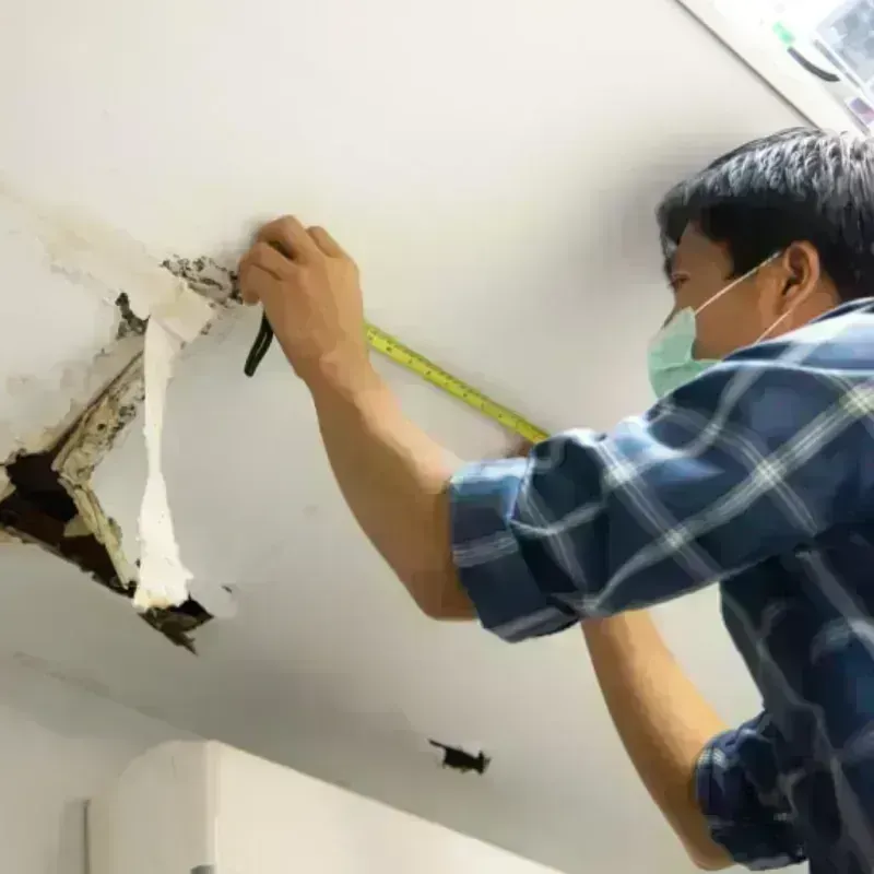 Ceiling And Wall Water Damage in Lolo, MT